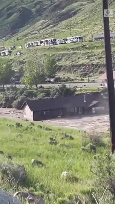 this house was not happy with the current place of residence.