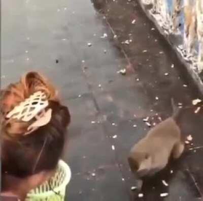 WCGW running with full hands