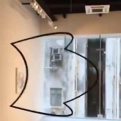 The point of view really matters for this Square / Circle