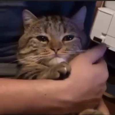 I am a dissapointment