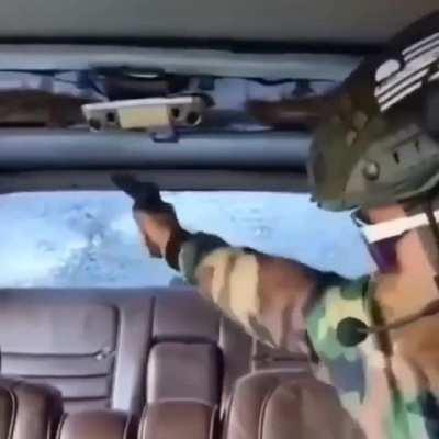 this is not legal advice. 🙈🙉🙊