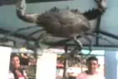 gravando o video mais incrível do mundo