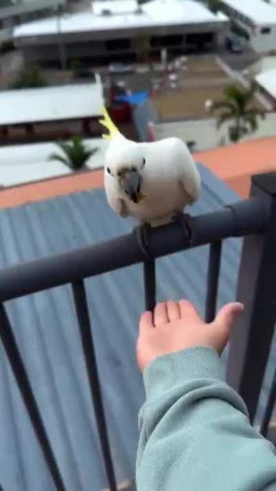 Didnât expect such a turn up 