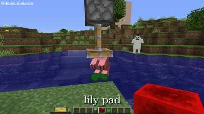Lily Pad & Pig bug