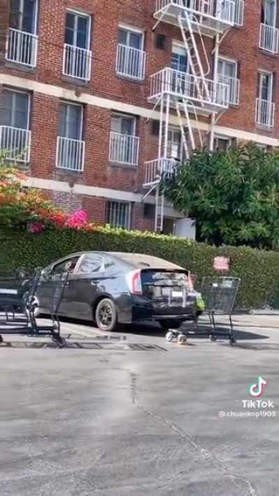 this man is my new favourite person