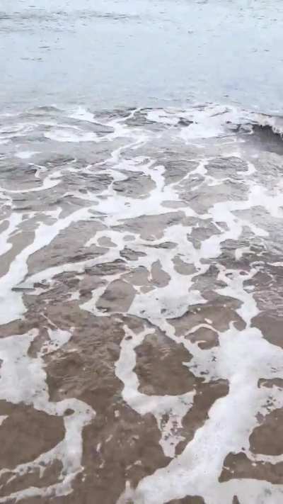 From LA -> HI 🍑🌅