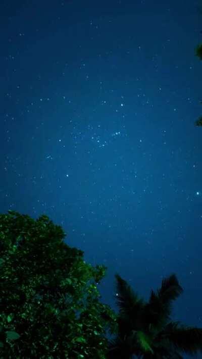 A small hobby I developed during lockdown. Caught this from Thiruvananthapuram