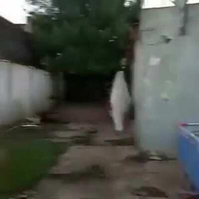 SALTO DEL DRAGON PAPURRI