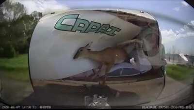 Vacation time........Or Not