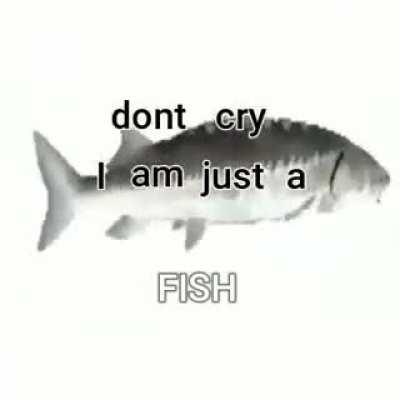 just a fish. (what should I name him?)