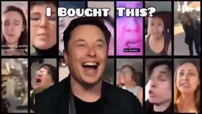 The meltdown after Elon bought Twitter