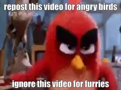 fur*y p0rn 😳😳😳😳😳