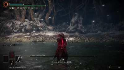 I just pulled off one of the most Epically Calculated final blows against Malenia!