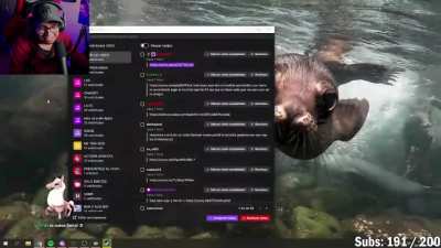 Duxo fue rickrolleado 🤑