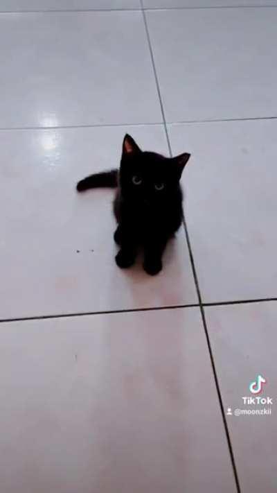 Just a clip before they take a bath.