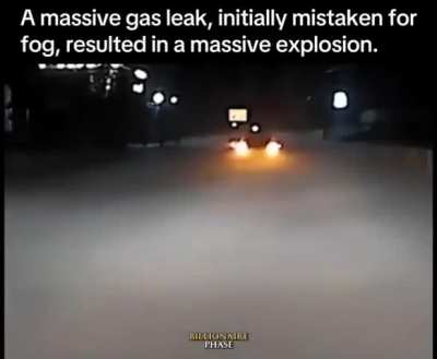 Which one of y’all did this?