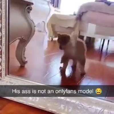 His ass is not on onlyfans