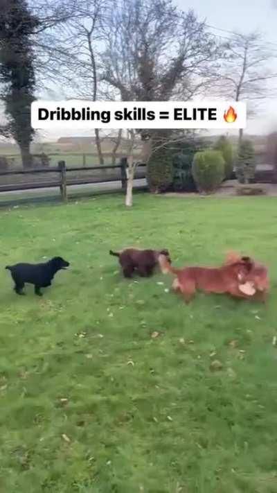 He's got the dawg in him