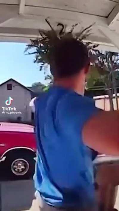 Just gonna leave this here ..