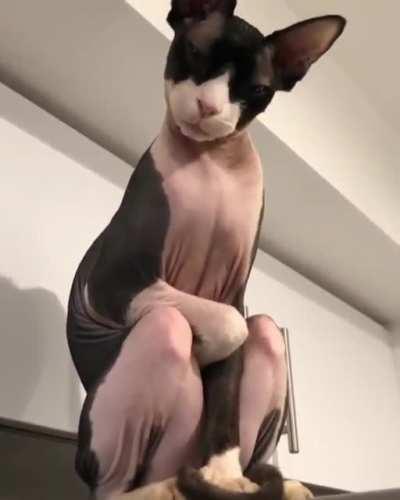 Kill it. Kill it with fire!