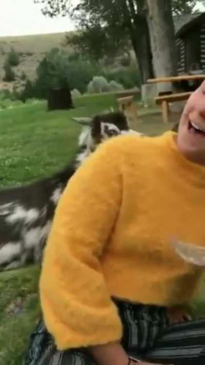 Wuh wuh wuh wuh wuh AAAAAAAAAAAAAAAHHHHHHHH!