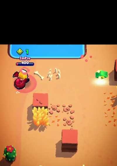 The life of a camper...