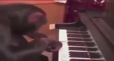 fredy fazbear epilepey