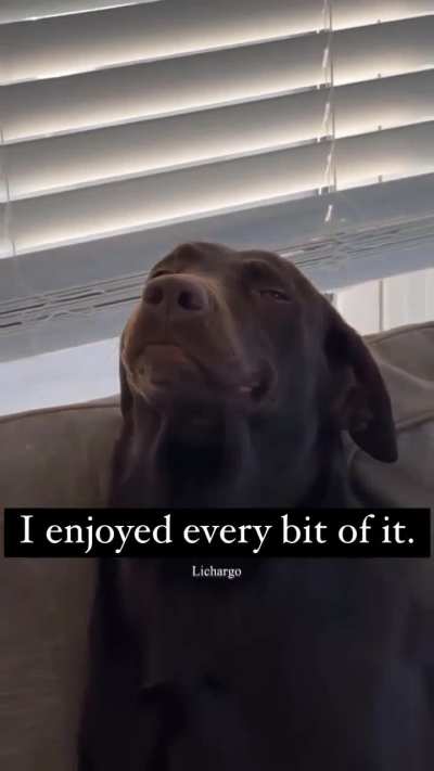 HE'S UNBOTHERED FR 😂