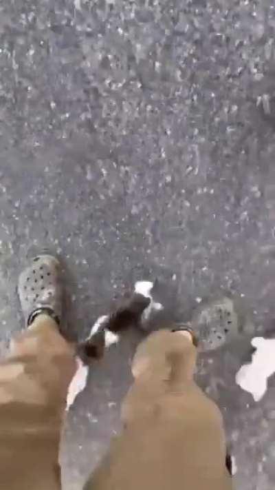 Man stops to rescue kitten, gets ambushed by platoon