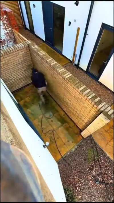 Satisfying and beautiful