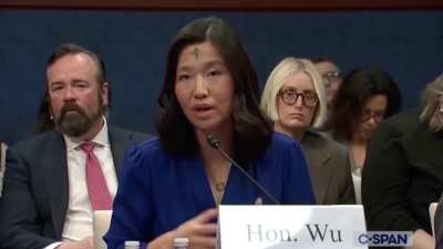 Boston Mayor Michelle Wu: 'If you wanted to make us safe, pass gun reforms, stop cutting medicaid, stop cutting cancer research. Stop cutting funds for veterans. That is what will make our city safe.'