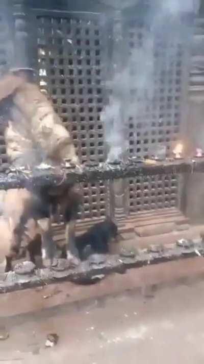 I'm not an addict, you are!