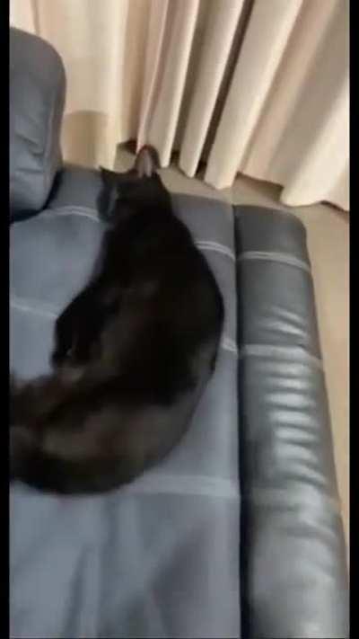 CHILL 😍👀💨💨💖💖