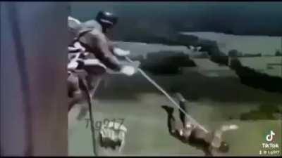 😊 Happy Pride Month! 🏳️‍🌈🎉