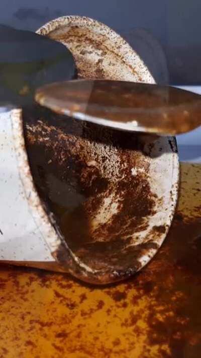 McDonald's cups last longer than you would think. (Source: Photo owl time lapse)