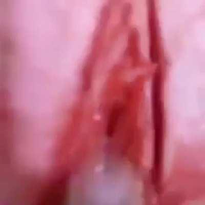 Aquele sustinho no madeiras