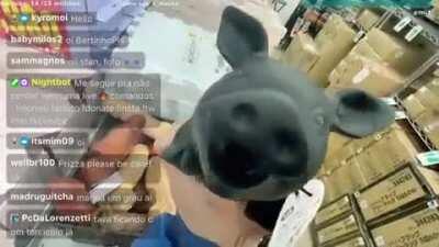 Anh, gente olha que incr&iacute;vel c&ecirc;s v&atilde;o adorar. Falou Prizza