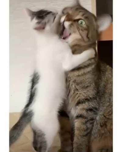 He just wanted to playy