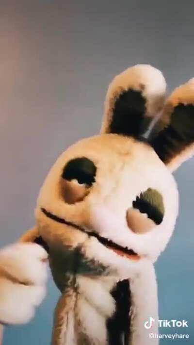 Harvey 🐰Hare 🐇 lays down the law ⚖️ on 🍸drunk 🚗 driving 🎵