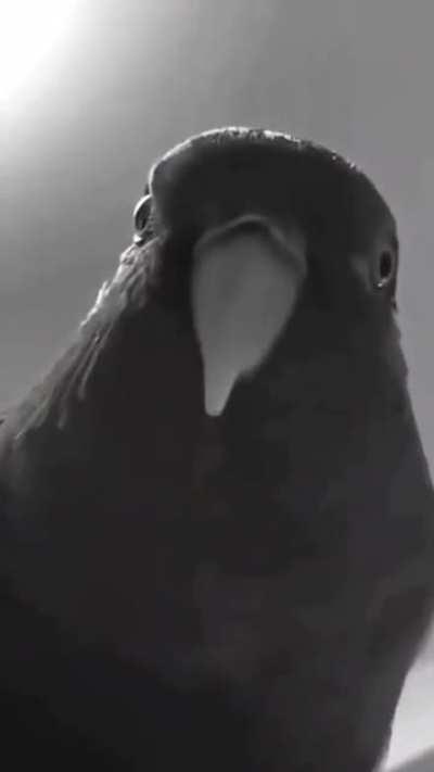 Couldn't stop laughing😂