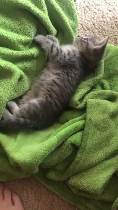 Don’t worry he’s been detained