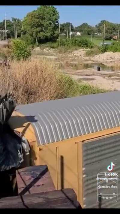 To fit a train under a low bridge.