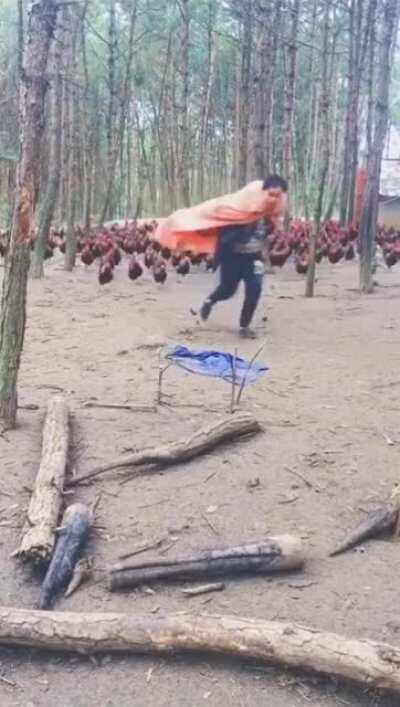 A sword day, a red day. Ere the sun rises