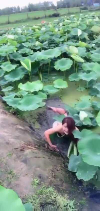 HMC while I blend with the environment