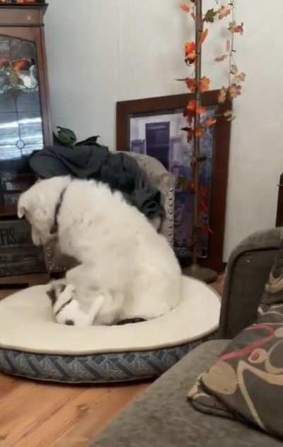 “Are you going to do something about this?” - Both