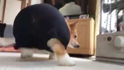 Can you stop with that please, human?