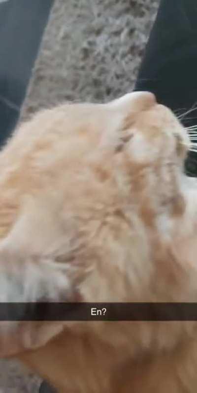 I think I surprised him