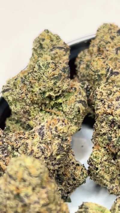 LA Pop Rocks (zkittles x animal cookies) x triangle kush bx2– lighter on effects with a smooth inhale…tastes sweet, sugary, with a doughy backend. 