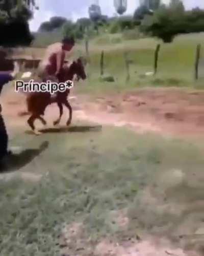 Clash royale be like