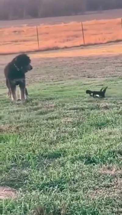 Here’s your daily dose of cuteness